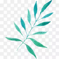 水彩画插图水彩花卉图形.拍水彩-空若网 水彩画插图水彩花卉图形.拍水彩-空若网