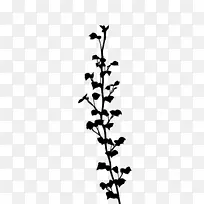 小枝植物茎开花植物叶-空若网 小枝植物茎开花植物叶-空若网