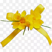 黄色切花植物茎开花植物-空若网 黄色切花植物茎开花植物-空若网