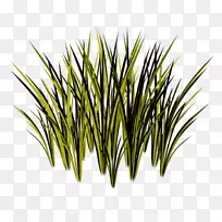 草、甜草、草本植物、植物茎-植物-空若网 草、甜草、草本植物、植物茎-植物-空若网