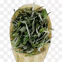 白木丹草-空若网 白木丹草-空若网