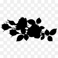 ����ֲ�������Ӱͼ��-������