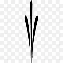 字形手指线-空若网 字形手指线-空若网