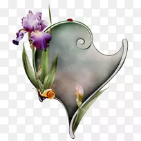 ����ֲ���ϲ�-������