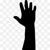 ��ָ����������������-������