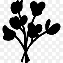 ����ֲ�������Ҷֲ�ﾥ-������