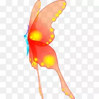 剪贴画昆虫蝴蝶波莱塔图片-橙色蝴蝶-空若网 剪贴画昆虫蝴蝶波莱塔图片-橙色蝴蝶-空若网