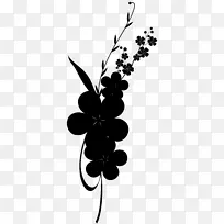 Ҷֲ�ﾥ�������忪��ֲ��-������