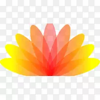 桌面壁纸电脑橙色S.A.-茶莲花-空若网 桌面壁纸电脑橙色S.A.-茶莲花-空若网