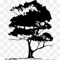 ×ÖÌå¼ôÓ°Ò¶¿ª»¨Ö²Îï·ÖÖ¦-¿ÕÈôÍø ×ÖÌå¼ôÓ°Ò¶¿ª»¨Ö²Îï·ÖÖ¦-¿ÕÈôÍø