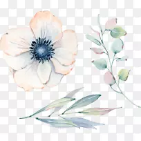 ˮ�ʻ����ʻ�ˮ�ʻ�ͼ���廭�ؿ��ͱ���-����-������