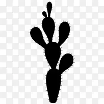 ���滨��ֲ�ﾥҶ������-������