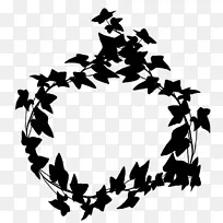 ��������Ӱͼ��Ҷ����ֲ��-������