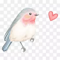 鸟雀图像下载图形-小鸟水彩画-空若网 鸟雀图像下载图形-小鸟水彩画-空若网