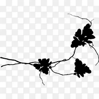 昆虫植物茎、叶、枝、剪贴画-空若网 昆虫植物茎、叶、枝、剪贴画-空若网