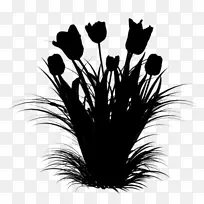 ����ֲ��-������