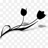 剪贴画叶植物茎系开花植物-空若网 剪贴画叶植物茎系开花植物-空若网