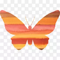 ºûµûÏÂÔØË®²Ê»¼ôÌù»-Ë®²Ê»»¨-¿ÕÈôÍø ºûµûÏÂÔØË®²Ê»¼ôÌù»-Ë®²Ê»»¨-¿ÕÈôÍø