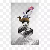 ����Ⱥ��Ӱѩ-����-������