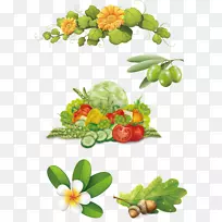 剪贴画.橄榄蔬菜-空若网 剪贴画.橄榄蔬菜-空若网