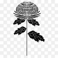 棕榈树图案明信片对称插图.钟声水彩-空若网 棕榈树图案明信片对称插图.钟声水彩-空若网