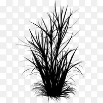 ͼƬ�������������Ĳ���-������