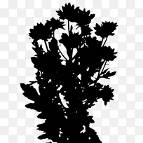 开花植物的字体剪影叶-空若网 开花植物的字体剪影叶-空若网