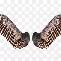 �������pngͼƬ����ͼ��.��-������