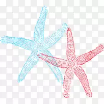 海星剪贴画-海星-空若网 海星剪贴画-海星-空若网