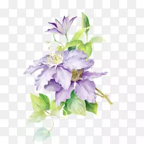 水彩画花画水彩画花-空若网 水彩画花画水彩画花-空若网