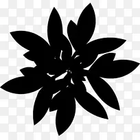 ͼ���Գ���Ҷ����ֲ��-������