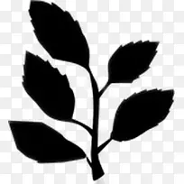 叶开花植物茎植物-空若网 叶开花植物茎植物-空若网