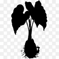 ��������ӰҶh&m����ֲ��-������