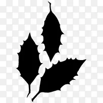 剪贴画剪影叶开花植物分枝-空若网 剪贴画剪影叶开花植物分枝-空若网