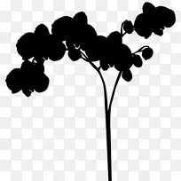 剪裁艺术剪叶植物茎开花植物-空若网 剪裁艺术剪叶植物茎开花植物-空若网