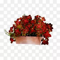 花卉设计切花花束-空若网 花卉设计切花花束-空若网