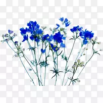 切花花束花卉设计植物茎-空若网 切花花束花卉设计植物茎-空若网