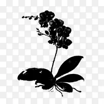 昆虫花植物茎叶轮廓-空若网 昆虫花植物茎叶轮廓-空若网