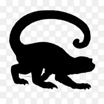 剪影动物恐龙食肉动物-空若网 剪影动物恐龙食肉动物-空若网