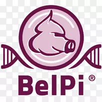 局彩剪贴画电子邮件徽标ajira-Bernard横幅-空若网 局彩剪贴画电子邮件徽标ajira-Bernard横幅-空若网