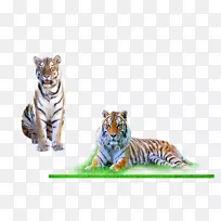 桌面壁纸-老虎-空若网 桌面壁纸-老虎-空若网