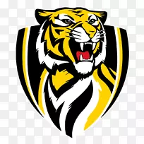 澳大利亚足球联盟弗里曼足球俱乐部维多利亚足球联盟老虎队-空若网 澳大利亚足球联盟弗里曼足球俱乐部维多利亚足球联盟老虎队-空若网