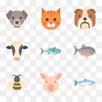 澳大利亚小狗什么狗?猫兽-空若网 澳大利亚小狗什么狗?猫兽-空若网