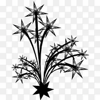 ϸ֦�ڰ׶Գ�ͼ��ֲ�ﾥ-������