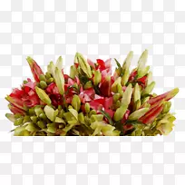 花卉设计切花花束花瓣-空若网 花卉设计切花花束花瓣-空若网
