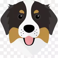 犬种伯恩塞山犬小狗-小狗-空若网 犬种伯恩塞山犬小狗-小狗-空若网