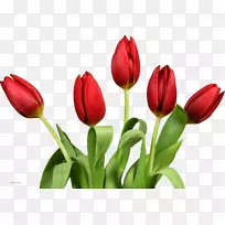 �����������ֽ������-����-������