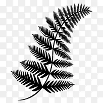 对称黑白叶图形图案-空若网 对称黑白叶图形图案-空若网