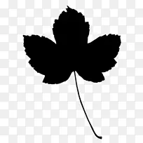 叶开花植物花瓣枫树茎-空若网 叶开花植物花瓣枫树茎-空若网