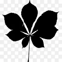 黑白-m叶剪影植物茎开花植物-空若网 黑白-m叶剪影植物茎开花植物-空若网